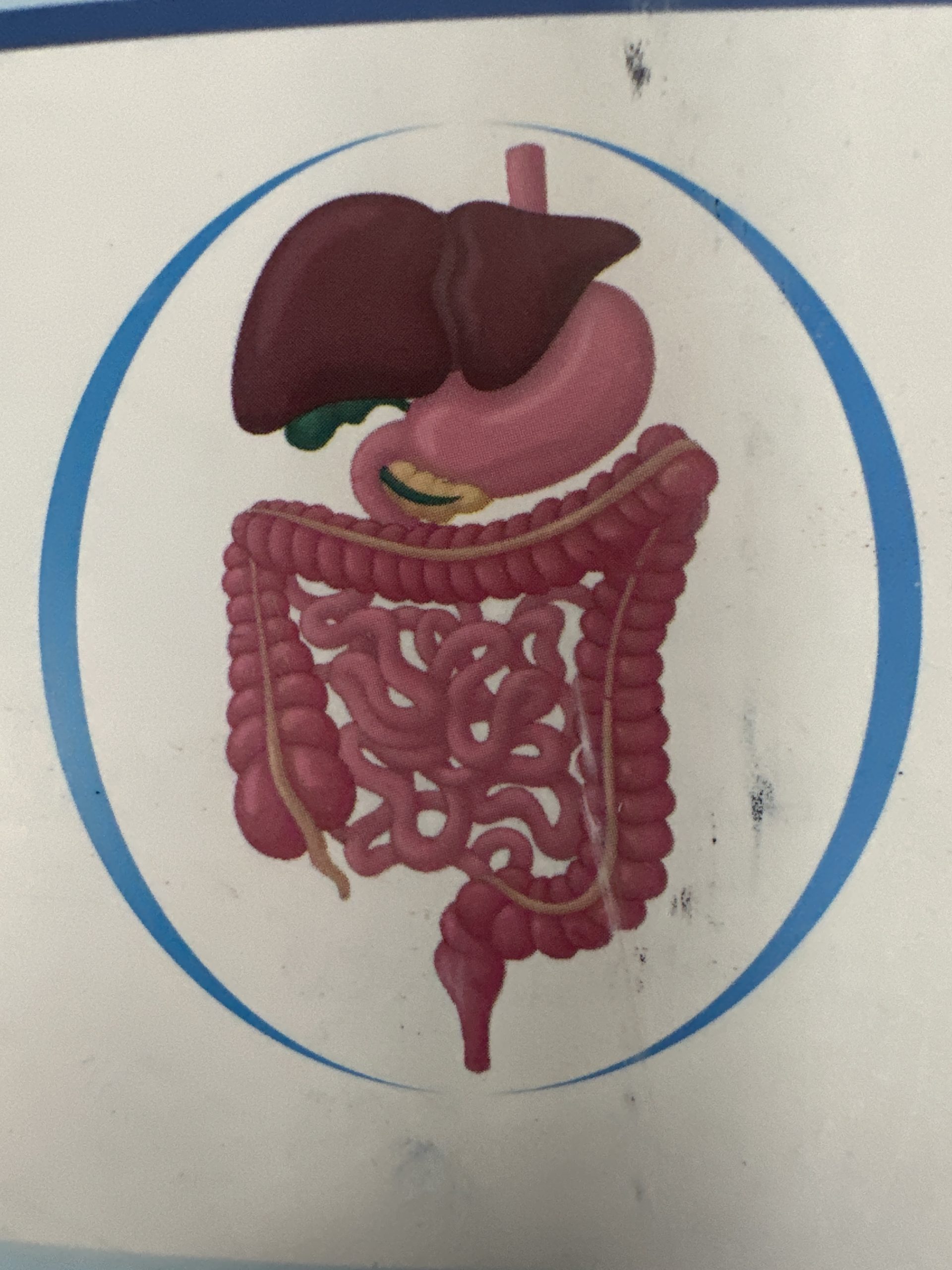 SVD Multispeciality Hospital Logo